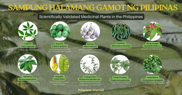 From Plant to Pill: Harvesting the Medicinal Potential of Philippine Plants